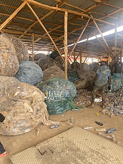 Plastic कचरे को सिर्फ पिघलाना नहीं, पूरी तरह बदलना सीख लिया IIT Bombay ने